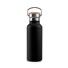 Insulated stainless steel bottle