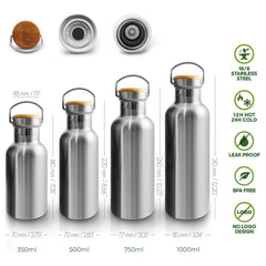 Insulated stainless steel bottle