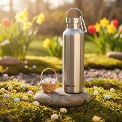 Insulated Stainless Steel Bottle