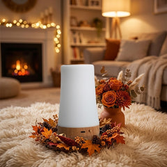 Bedside Night Lamp BioWitel