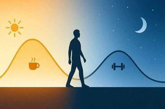 Diagram illustrating the cortisol curve and daily cortisol level fluctuations for energy and sleep rhythm