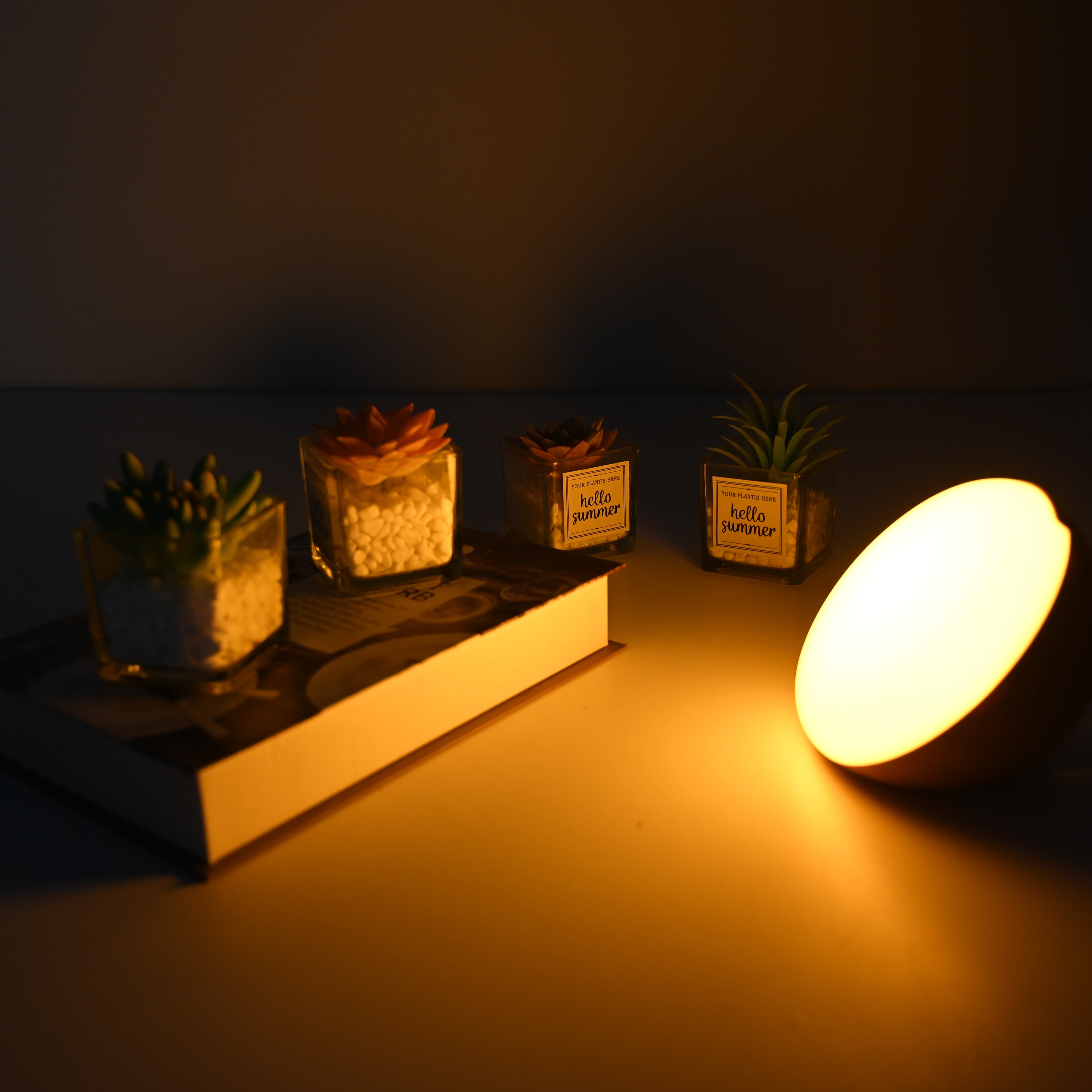 Amber & Red Light Night Lamp BioWitel