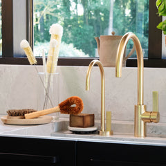 Trauku birste ar kokosriekstu sariņiem