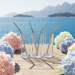 Stainless Steel Straws
